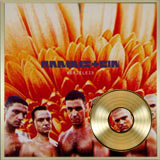 Album Herzeleid disque d'or