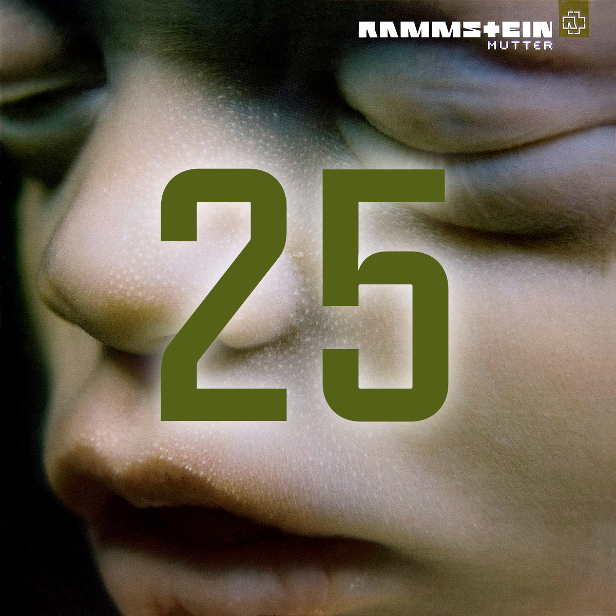 Rammstein World - Official info on Made In Germany 1995-2011